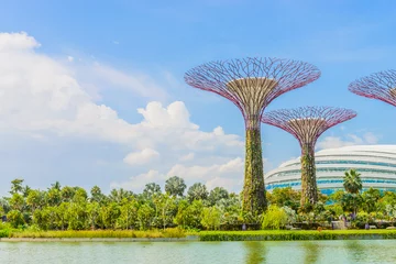 Crédence de cuisine Jardin Garden by the bay  © siraphol
