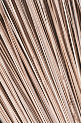abstract  background of dry coconut leaf