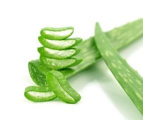 aloe vera fresh leaf. isolated over white