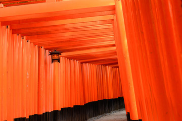 Thousands of Torii with lantern.