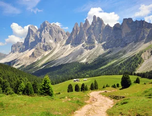 Fotobehang Dolomieten Wandelpad in de Alpen