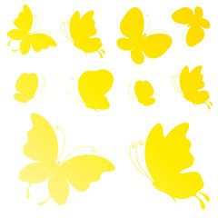 butterflies design