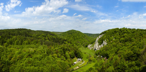 Obraz premium Summer in Ojcow National Park.