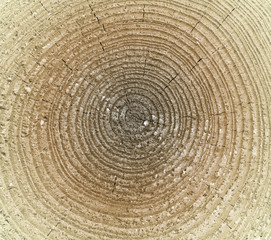 Naklejka premium Close-up wooden texture, colored