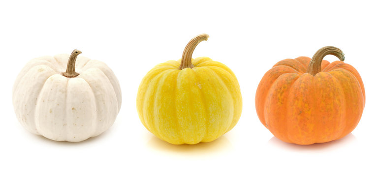 Fresh yellow pumpkin,white pumpkin and orange pumpkin isolated o