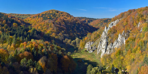 Fototapeta na wymiar Autumn in Ojcow National Park.
