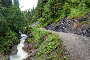 Tal mit Gebirgsbach
