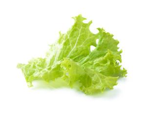 Lettuce isolated on white background