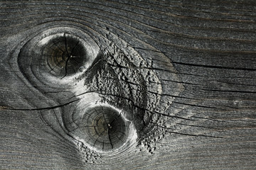 gray knotty wood texture