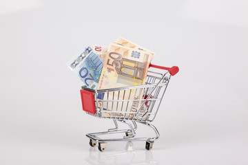 Einkaufswagen mit Euroscheinen