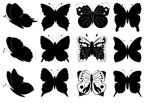 Butterflies set for design