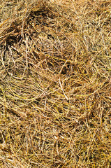 Hay background