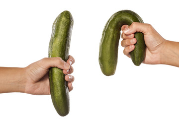 women hands holding distorted and normal cucumber on white - obrazy, fototapety, plakaty