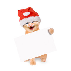 lachende Katze mit Weihnachtsmütze und Banner