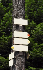 close up of signpost