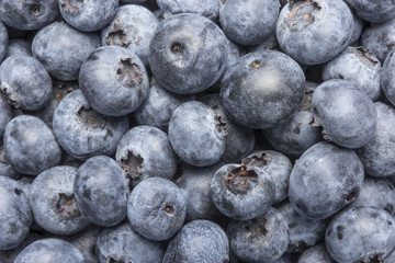 Heidelbeeren