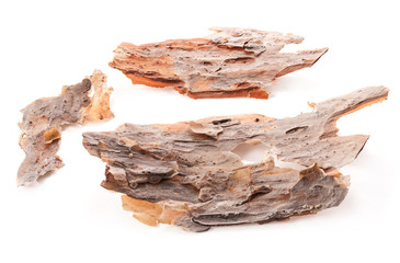 Piece of pine bark isolated on white background