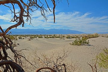 Mesquite Sand Dunes, Death Valley, Kalifornien