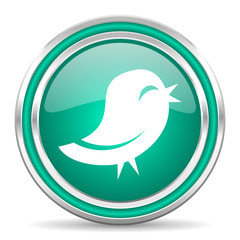 twitter green glossy web icon