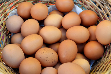 Oeufs dans un panier d'osier