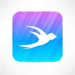 swallow icon