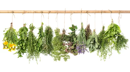 Crédence de cuisine en verre imprimé Aromatique fresh herbs hanging isolated on white. basil, rosemary, thyme, m