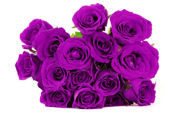 fantasy purple roses bouquet on white background