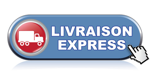 LIVRAISON EXPRESS ICON