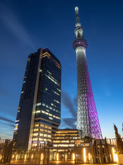 Obraz premium 東京スカイツリーとイーストタワー