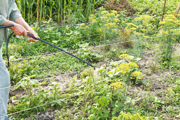 farmer spraying of pesticide on country garden