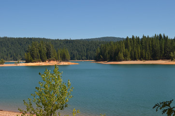 Lake Jenkinson, Conifer forests, Sierra Nevada, California