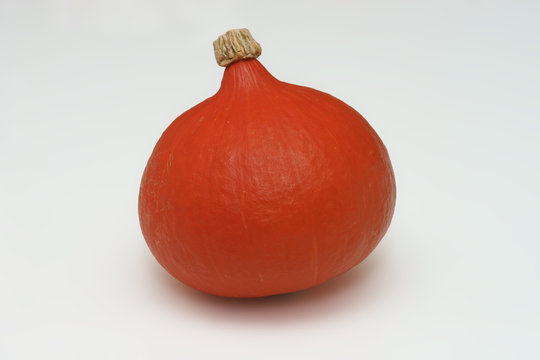 加賀野菜　打木赤皮甘栗かぼちゃ