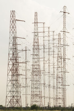 Antennas forest