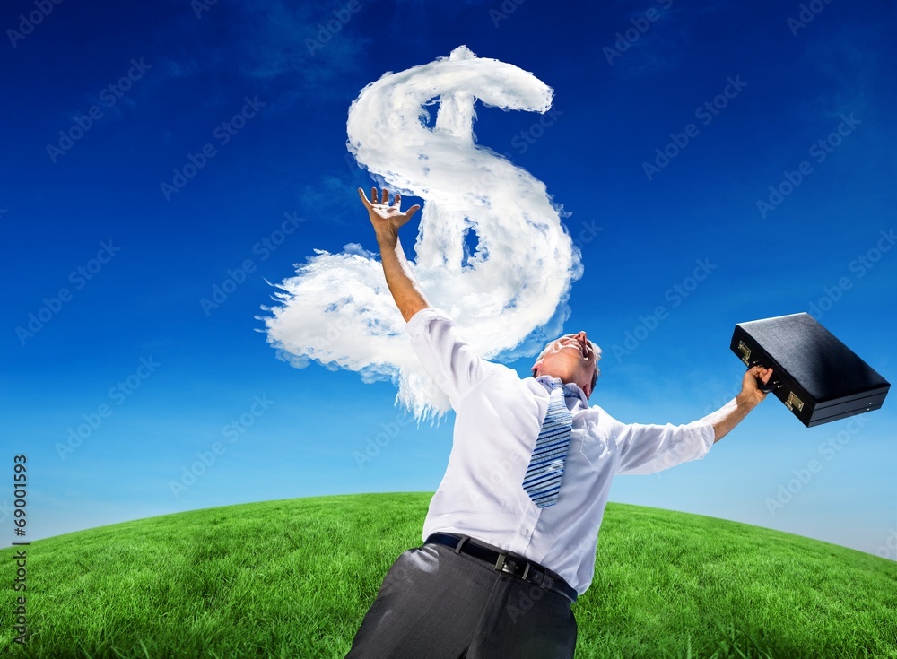 Poster composite image of businessman holding briefcase and cheering