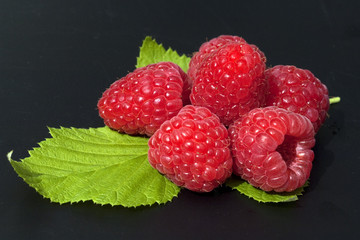 Himbeere; Rubus, idaeus; Waldbeere; Hohlbeere;