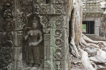 Relief einer Apsara im Tempel Ta Prohm von Angkor