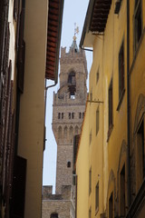 Florence in Tuscany - 69005782
