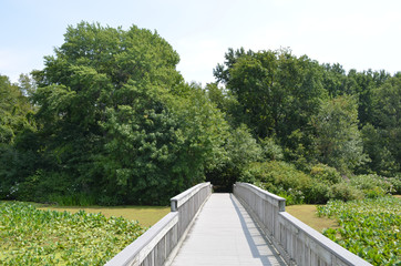 wooden boardwalk over natural marsh in JH wildlife refuge