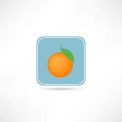 orange icon