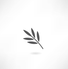 leaf tree icon