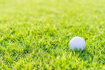 Golf ball on green grass