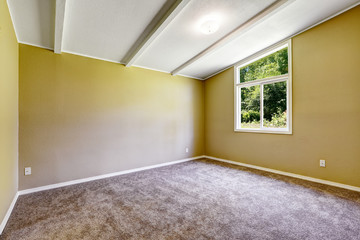 Empty room with soft brown   carpet floor and vaulted ceiling