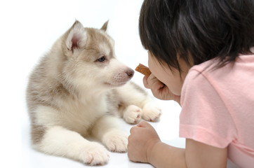 Little asianboy feeding puppy