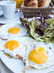 Prepared Egg