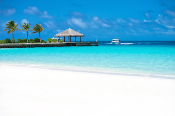 Perfect tropical island paradise beach Maldives