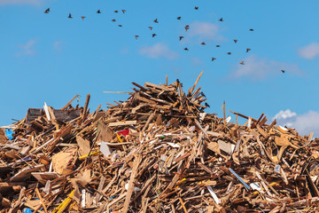 Large pile of wood on a garbage depot