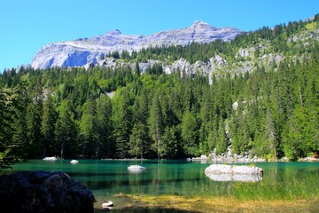 Le Lac Vert, Passy
