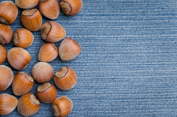 Obraz premium hazelnut