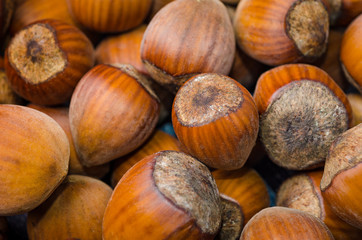 hazelnut