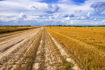 Fototapeta na wymiar A field with straw bales after harvest